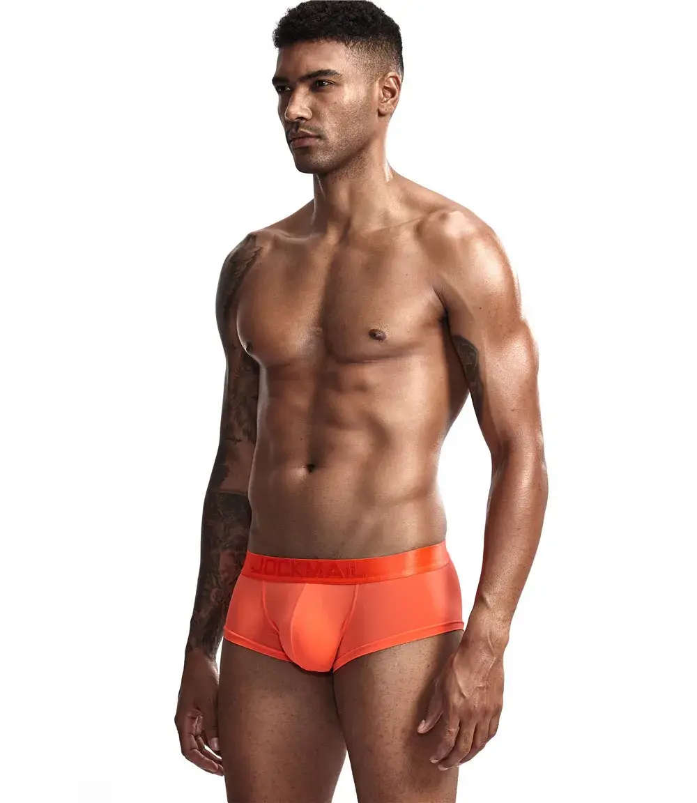 Jockmail Mens Panties Sexy Boxer Translucent Seamless Hombre Ice Silk Calcinhas New Brazilian Underwear Funny Lenceria De Hombre — image 15