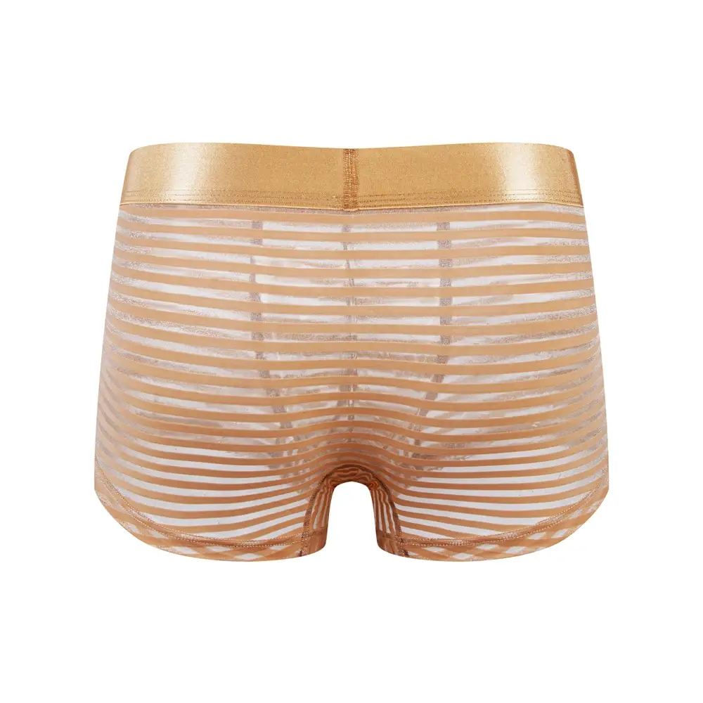 Sexy Men Underwear Boxer Shorts Transparent Mesh Underpants Trunks Men Panties Low Waist Nylon Breathable Quick Drying — image 14