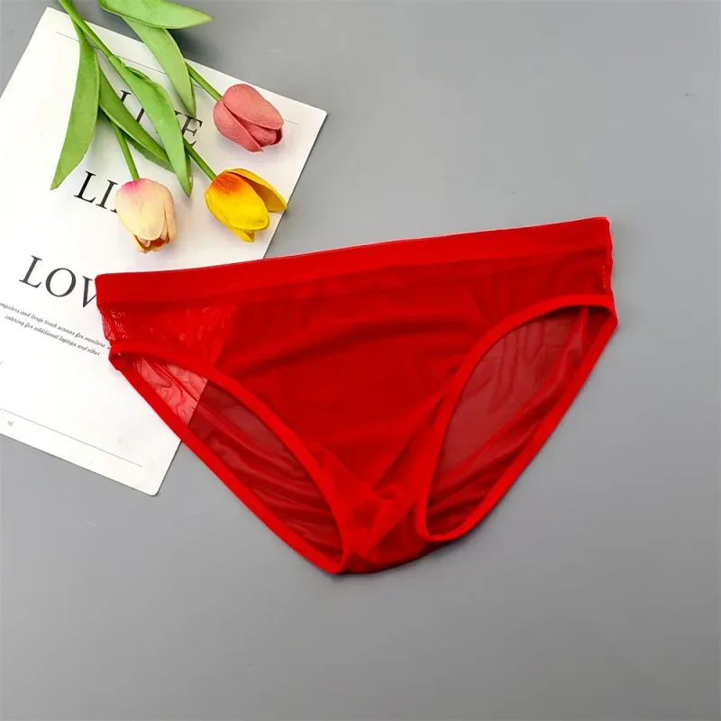Ropa interior transparente de talla grande, calzoncillos sexis transparentes para Hombre con bolsa, bragas masculinas transpirables de nailon, XL-4XL