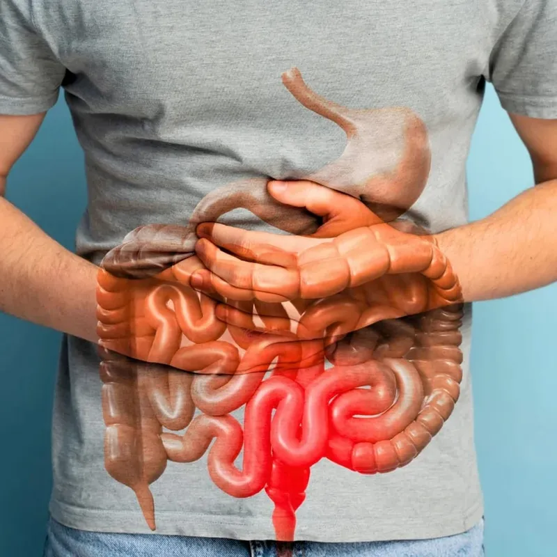 Best Colon Dissolving Cleansing Capsules for Overall Colon Digestive Regulation & Maintaining Gut Health Constipation Relief