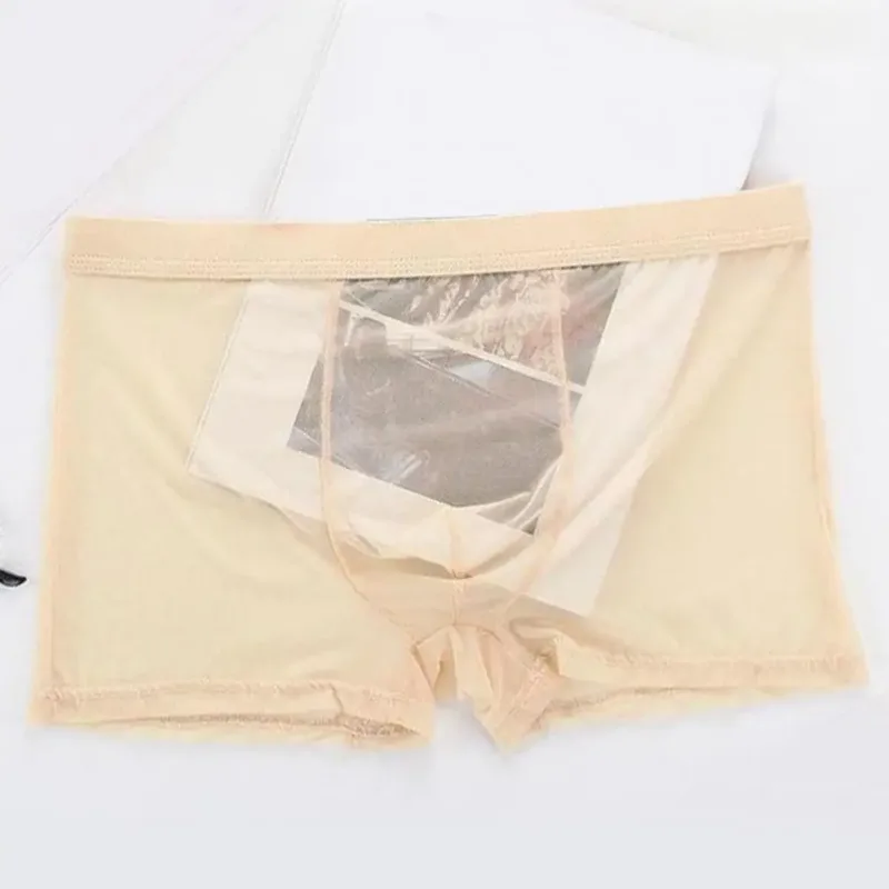 Bóxers transparentes para hombre, calzoncillos transparentes de malla Sexy, cintura baja, seda helada, bragas refrescantes finas, ropa interior para hombre