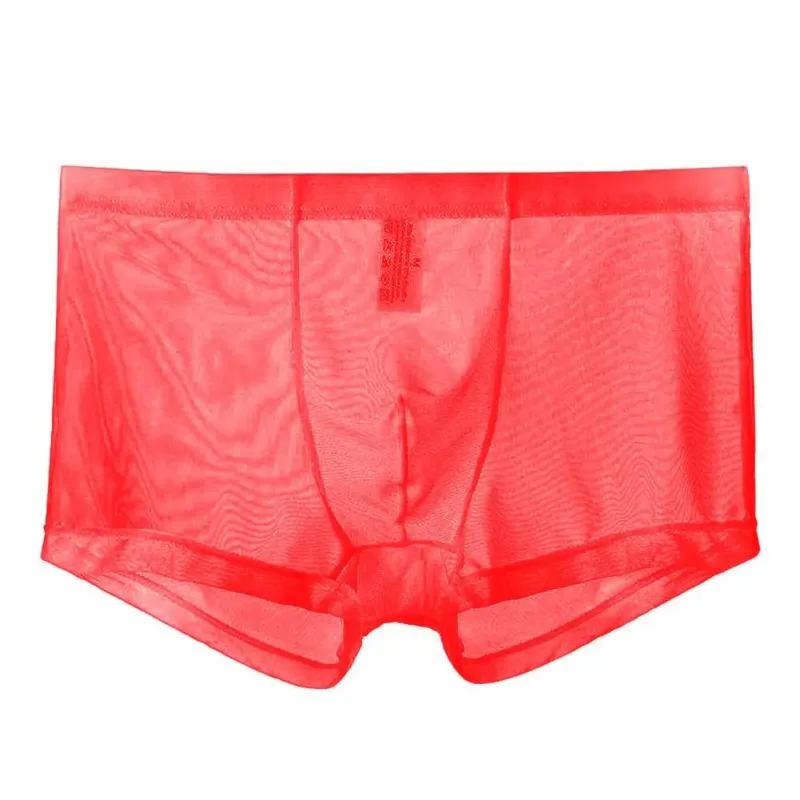 Bóxers transparentes para hombre, calzoncillos transparentes de malla Sexy, cintura baja, seda helada, bragas refrescantes finas, ropa interior para hombre