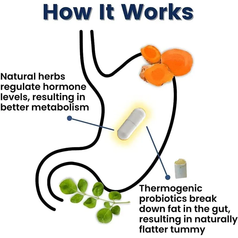 Provitalize Capsules - Γυναικεία προβιοτικά + Moringa Weight Management Immune Health & Gut Health Support 30/60/120 Caps — image 7