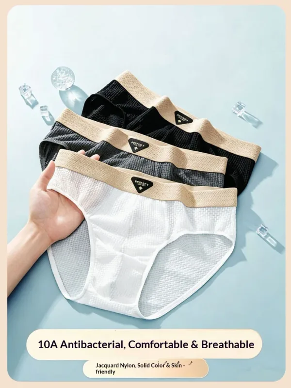 1Pcs Briefs Men Underwear Sexy Lingerie Male Panties Nylon Solid Underpants Breathable Cueca Causal Calcinha Wholesale Lots — image 14