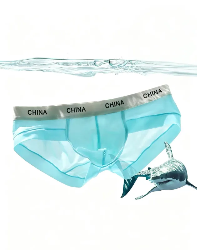 Men Ice Silk Briefs Ultra Thin Breathable See Through Underwear Soft Wide Waistband Summer Cool Comfort Panties Random Color 1pc — image 2