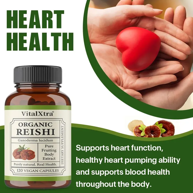 Reishi Mushroom Capsules 1000mg Ganoderma Lucidum Υποστηρίζει την χαλάρωση του ανοσοποιητικού υγείας τον ύπνο και τη φυσική ενέργεια Vegan μη ΓΤΟ — image 3