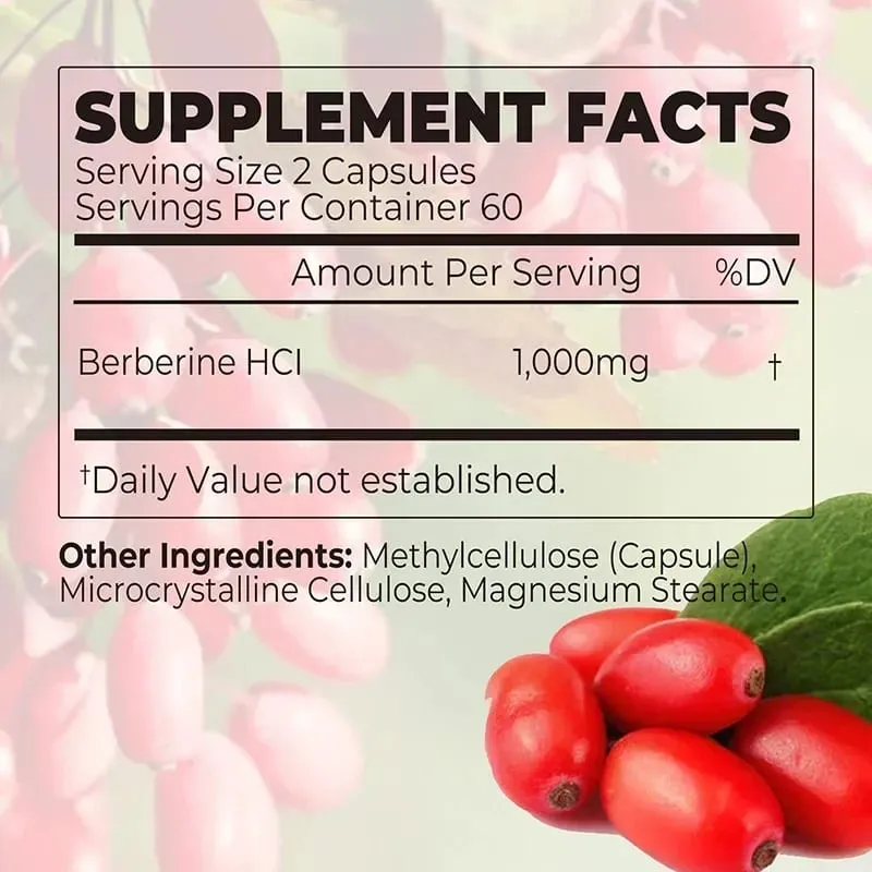 Berberine Capsules - Support Overall Health and Immune Function Promote Digestion Enhance Energy Anti-oxidant and Anti-aging — image 3