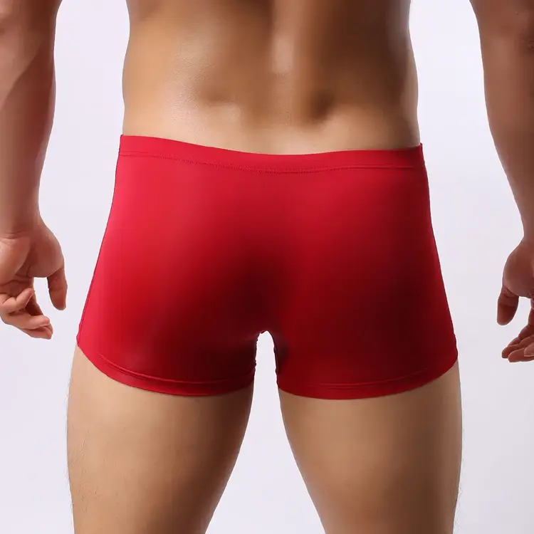 Sexy Elephant Nose Boxers Men's Transparent Bulge Penis Pouch Gay Underwear Men Ultra-thin Ice Silk Panties Fetish Boxershorts — image 7