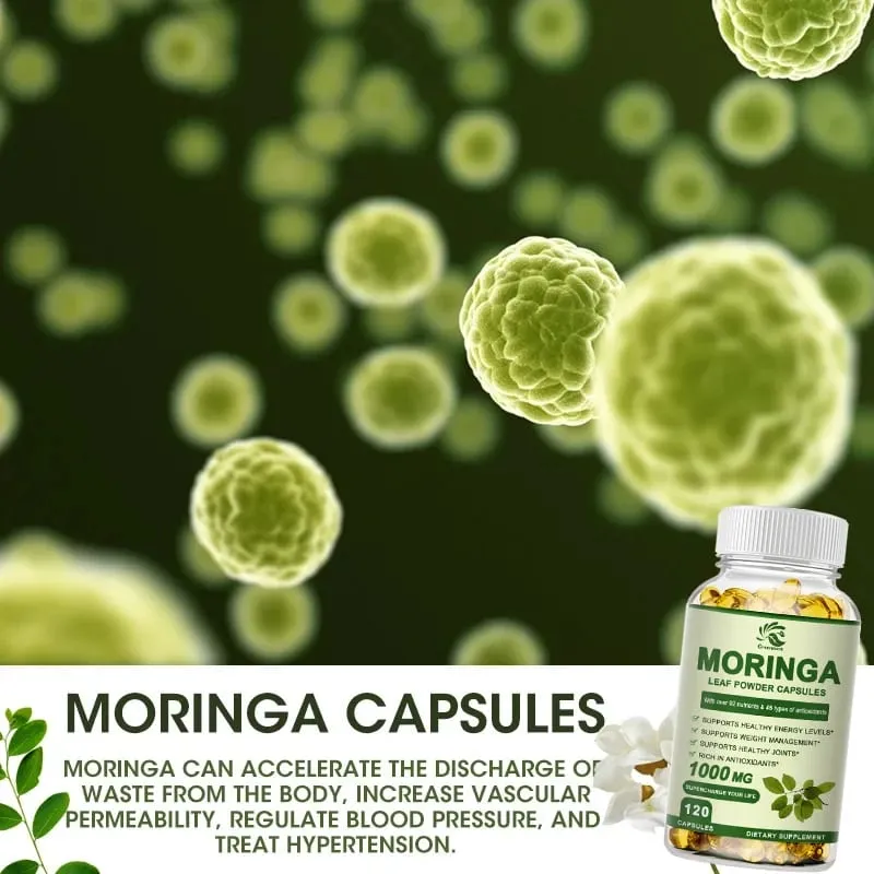 Moringa Oil Promote Metabolism Support Weight Loss Repairs Damaged Cells Alleviates Inflammation Cardiovascular Health