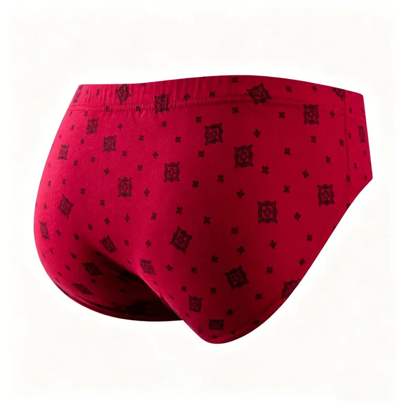 5 Pieces/lot Men's 100% Cotton Breathable Briefs Plus Size Men Underwear Breathable Comfortable Men Underpant Lingerie Panties — image 4