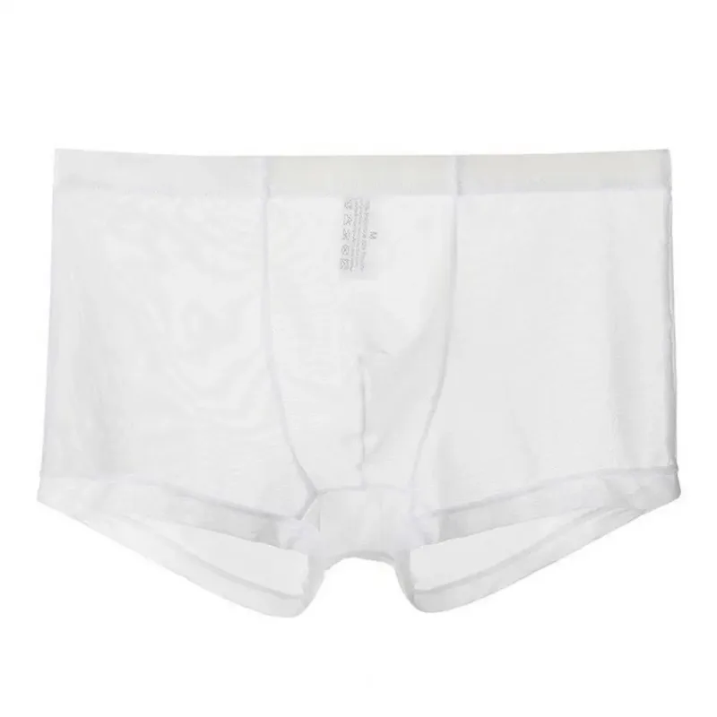 Bóxers transparentes para hombre, calzoncillos transparentes de malla Sexy, cintura baja, seda helada, bragas refrescantes finas, ropa interior para hombre