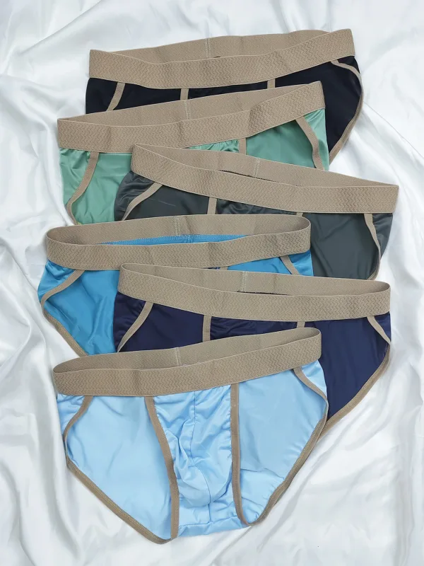6PCS Men's Briefs Ice Silk Material Cool Smooth Comfortable Pure Color Simple Briefs