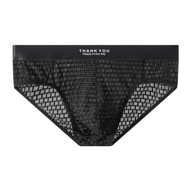 Transparent Mesh Underwear Male Ultra Thin Sheer Briefs Breathable Underpants Bulge Pouch Panties Soft Lingerie Low Rise Knicker