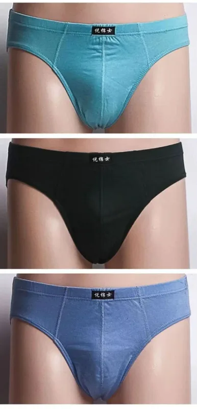 5Pcs/Lot Cotton Underpants For Men Briefs Male Underwear Knickers Panties Pant Shorts 2025 Sexy Undies XL 2XL 3XL 4XL 5XL 6XL