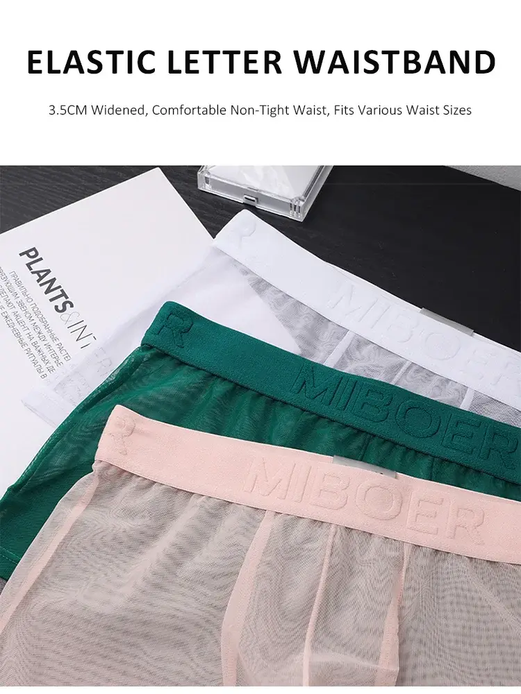Men's Transparent Full Mesh Boxer Briefs See-Through Underwear Low Rise U-Pouch Breathable Sexy Low-Rise Elastic Waistband — image 5
