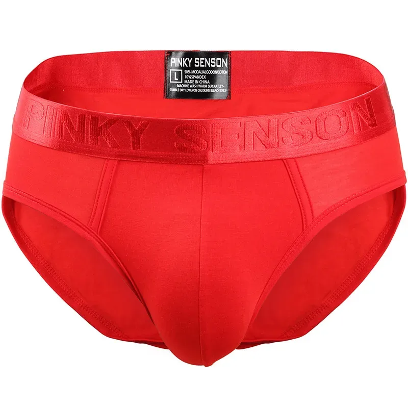 Pinky Seaso marque meilleure vente Sexy Triangle pantalon Modal mince couleur unie sous-vêtements hommes Modal slips ventiler grande taille hommes — image 26