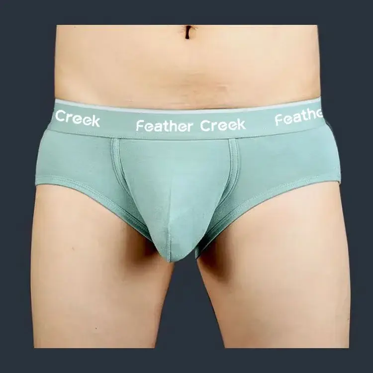 2026 Men's U-Shaped Large Bag Underwear Sexy Briefs Comfortable Innerwear for Men