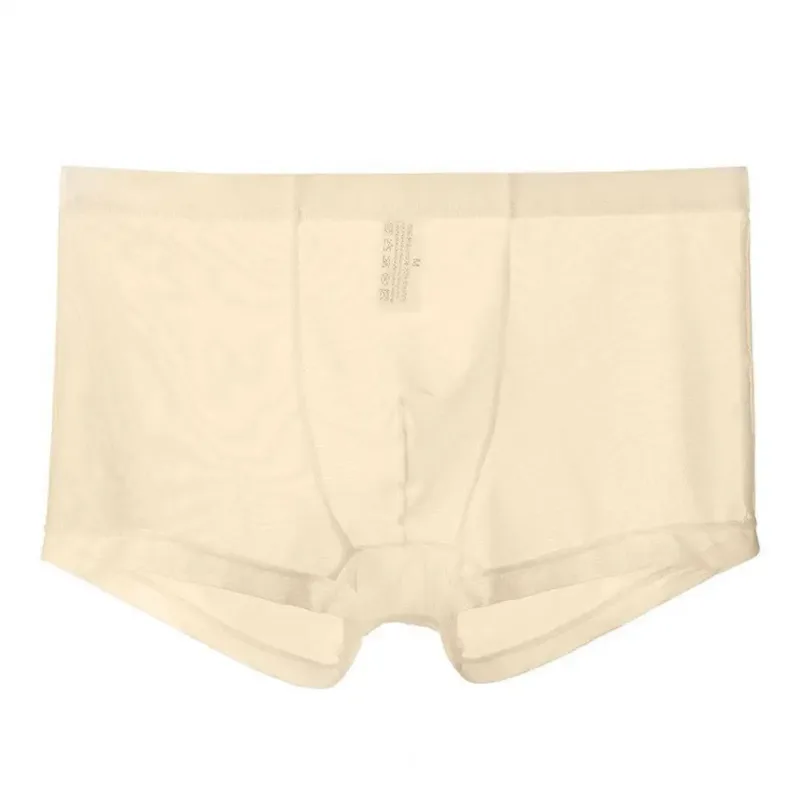 Bóxers transparentes para hombre, calzoncillos transparentes de malla Sexy, cintura baja, seda helada, bragas refrescantes finas, ropa interior para hombre
