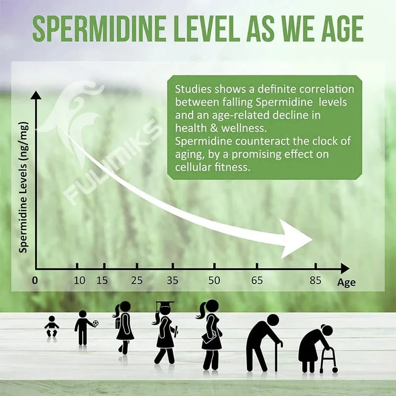 Spermidine 13mg Supplement Fermented Wheat Germ Extract Promotes Cellular renewal Anti-Aging Hair Growth & Immune Health — image 5
