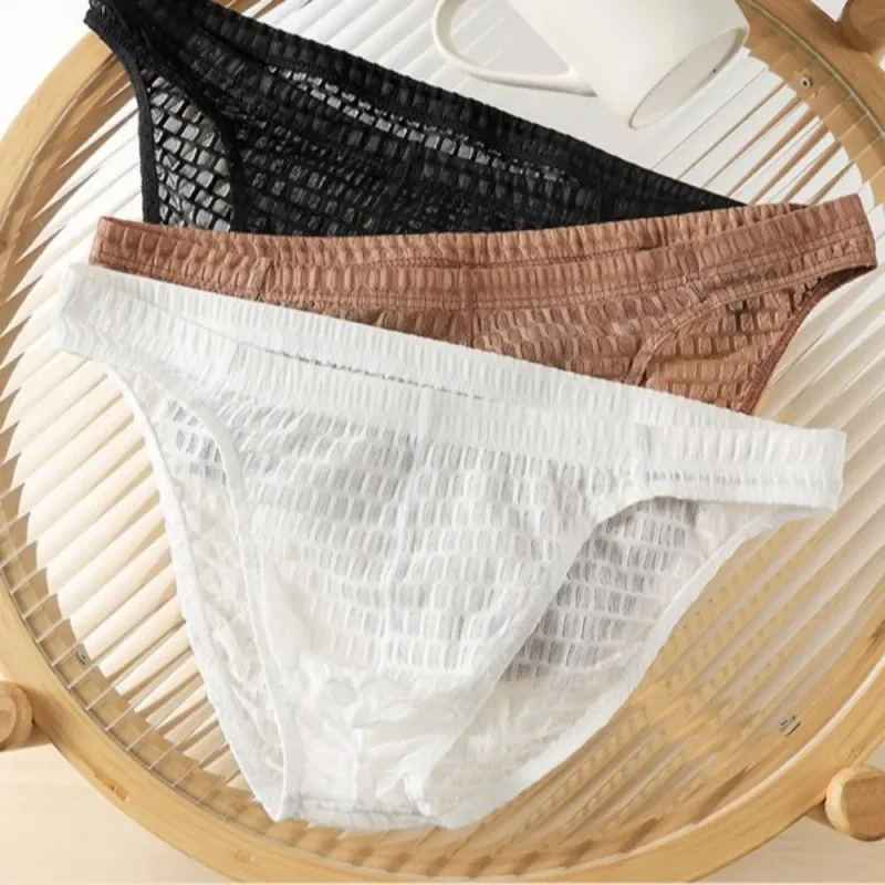 Breathable Low Waist Men's Briefs Transparent Ultra-thin Ice Silk Underwear Lingerie Mesh Panties Male Comfort Fit — image 14