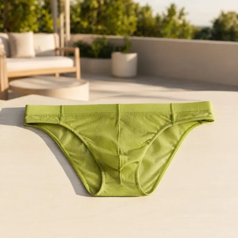 Lingerie Men Mesh Triangle Panties Low Waist Breathable Men Thin Briefs Transparent Thin Soft Underwear for Men Daily Wear — image 14