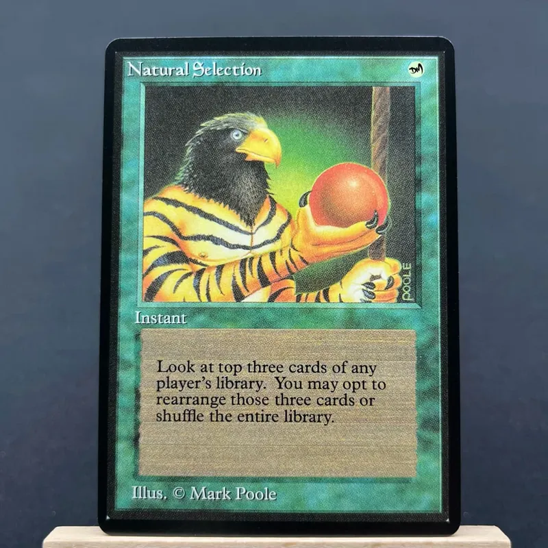 כרטיסי TCG למשחק בית Proxy Natural Selection Timber Wolves the Mana Vault Mox Pearl