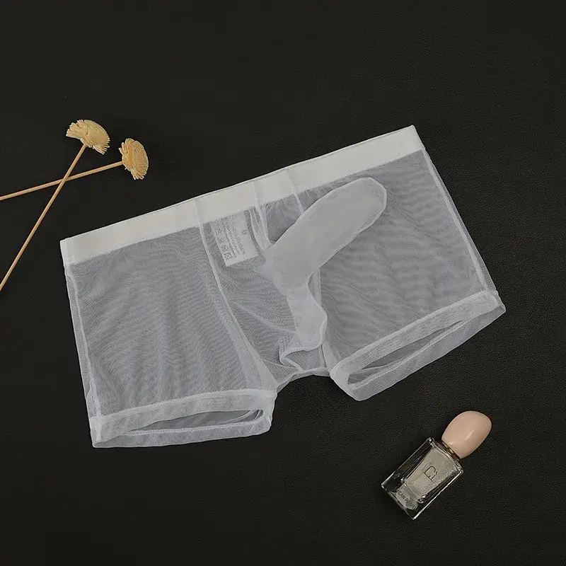 Erotic Men's Boxy Underwear Gays Sexy Low Waist Elephant Nose Boxer Shorts Thin Mesh Transparent Breathable Lightweight Panties — image 3
