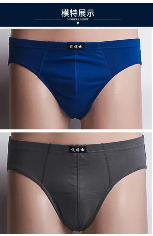 5Pcs/Lot Cotton Underpants For Men Briefs Male Underwear Knickers Panties Pant Shorts 2025 Sexy Undies XL 2XL 3XL 4XL 5XL 6XL