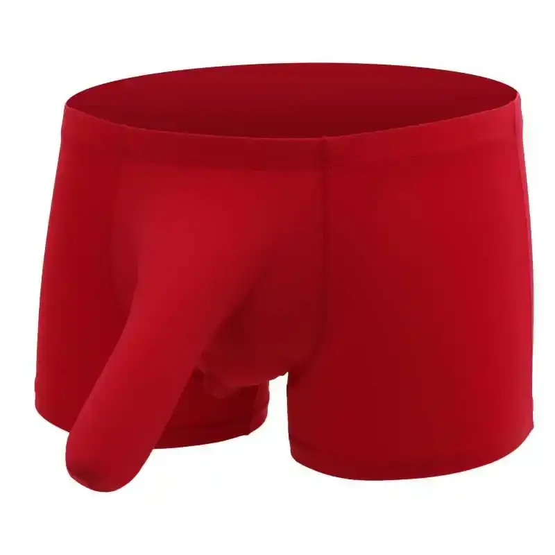 Sexy Elephant Nose Boxers Men's Transparent Bulge Penis Pouch Gay Underwear Men Ultra-thin Ice Silk Panties Fetish Boxershorts — image 6