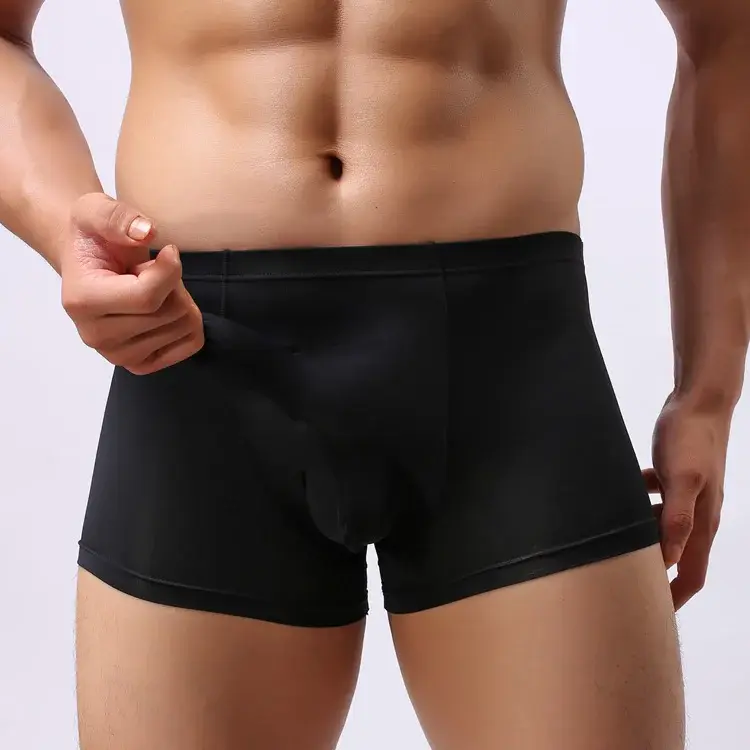 Sexy Elephant Nose Boxers Men's Transparent Bulge Penis Pouch Gay Underwear Men Ultra-thin Ice Silk Panties Fetish Boxershorts — image 4