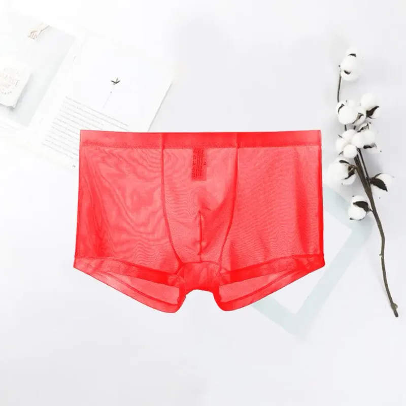 Bóxers transparentes para hombre, calzoncillos transparentes de malla Sexy, cintura baja, seda helada, bragas refrescantes finas, ropa interior para hombre