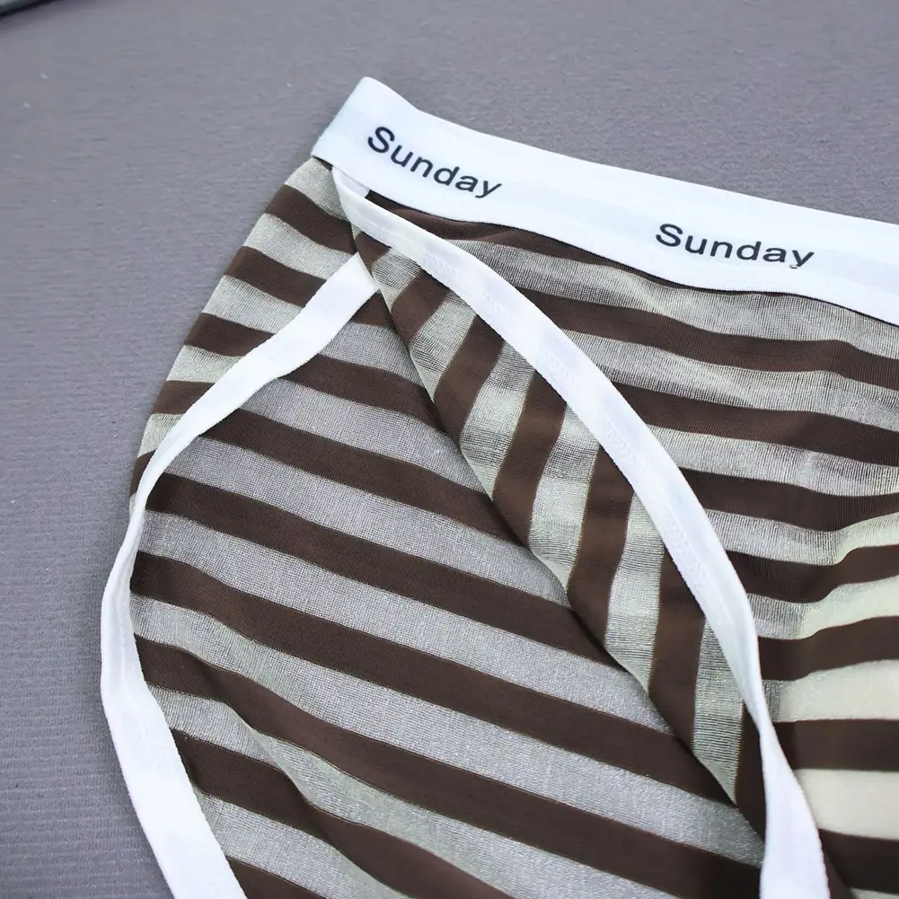 Men Casual Transparent Striped Mesh Briefs Side Fork Panties Shorts Breathable Pouch Man Comfortable Home Underwear
