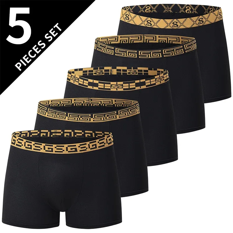 5PCS-HEIJIN