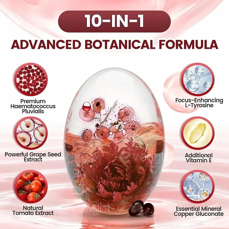 Astaxanthin 24mg – Powerful Antioxidant for Skin Eyes Immune System – 10-in-1 Formula Lycopene Grape Seed Vitamin E & Zinc