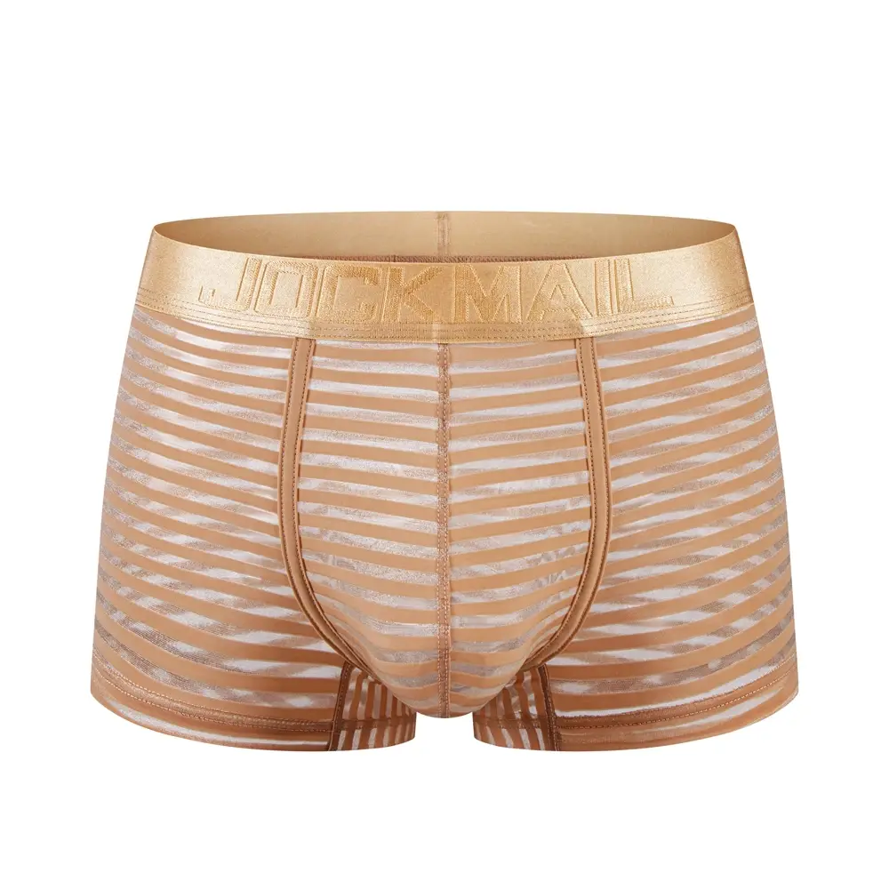 Sexy Men Underwear Boxer Shorts Transparent Mesh Underpants Trunks Men Panties Low Waist Nylon Breathable Quick Drying — image 13