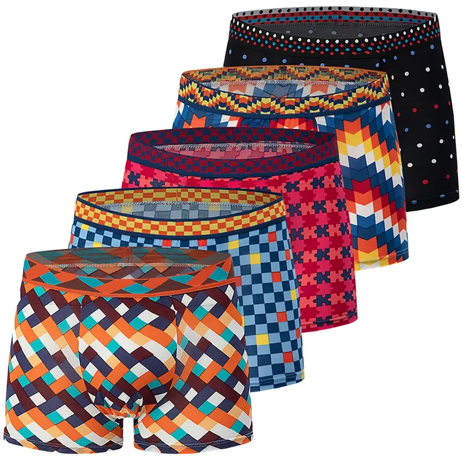 Boxer décontracté à motifs colorés pour hommes, sous-vêtements amples et confortables, surdimensionnés, taille élastique, 4/5 pièces — image 2