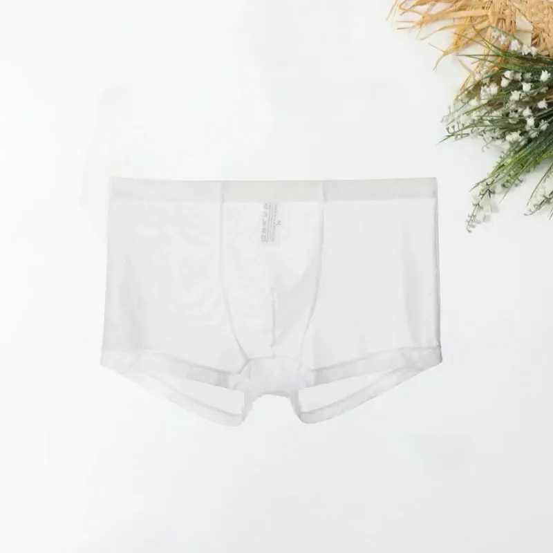 Bóxers transparentes para hombre, calzoncillos transparentes de malla Sexy, cintura baja, seda helada, bragas refrescantes finas, ropa interior para hombre
