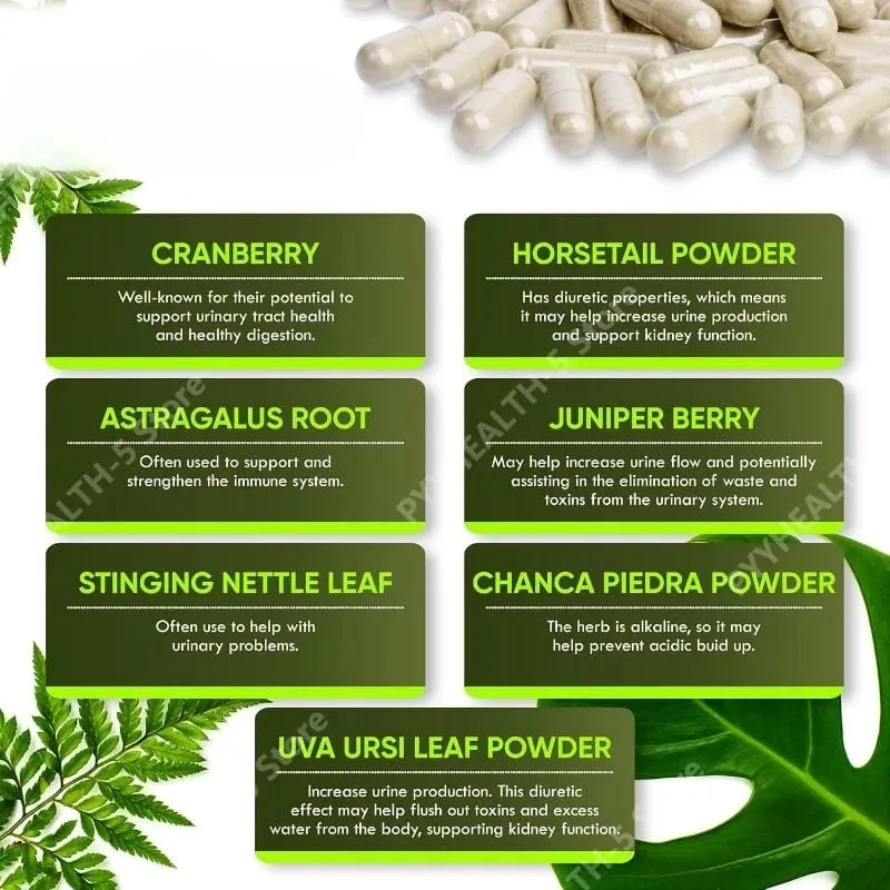 Kidney Cleanse Detox Capsules ουροδόχου κύστης Υποστήριξη ούρων με Chanca Piedra Cranberry Juniper Berries Vegetable Capsule 60 Counts — image 4