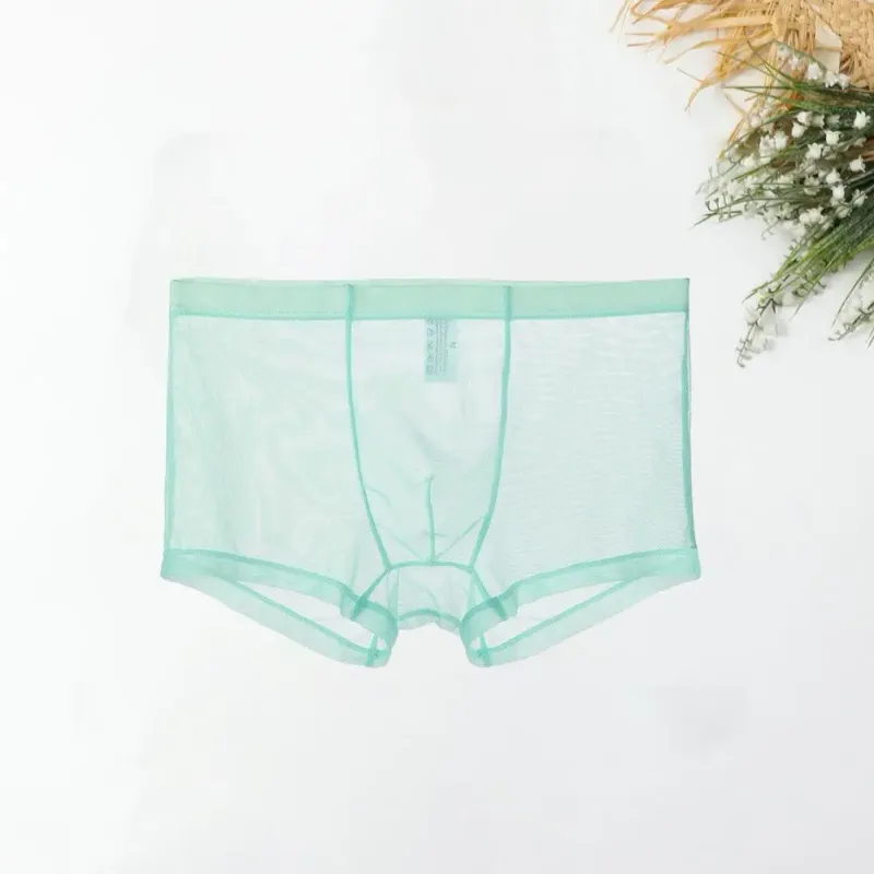 Bóxers transparentes para hombre, calzoncillos transparentes de malla Sexy, cintura baja, seda helada, bragas refrescantes finas, ropa interior para hombre