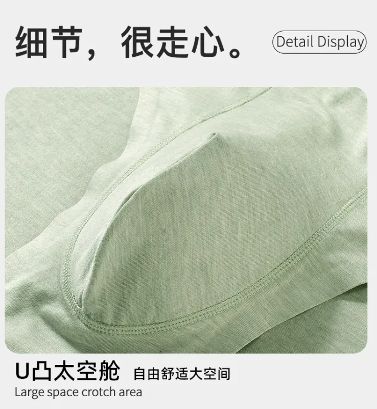 Men Sexy Briefs Bamboo Fiber Underwear Bulge Pouch Underpants 10A Antibacterial Breathable Sports Panties Soft Knickers Shorts — image 18