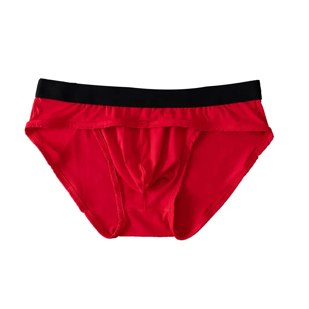 Men Underwear Briefs Underpants Nylon Mesh Quick Dry Men's Briefs Bikini Slip Men's Jockstrap Briefs Swim Swimwear Shorts D2017