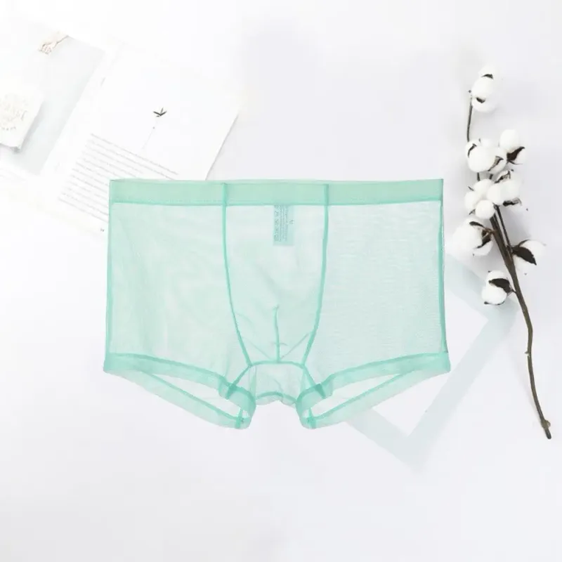 Bóxers transparentes para hombre, calzoncillos transparentes de malla Sexy, cintura baja, seda helada, bragas refrescantes finas, ropa interior para hombre