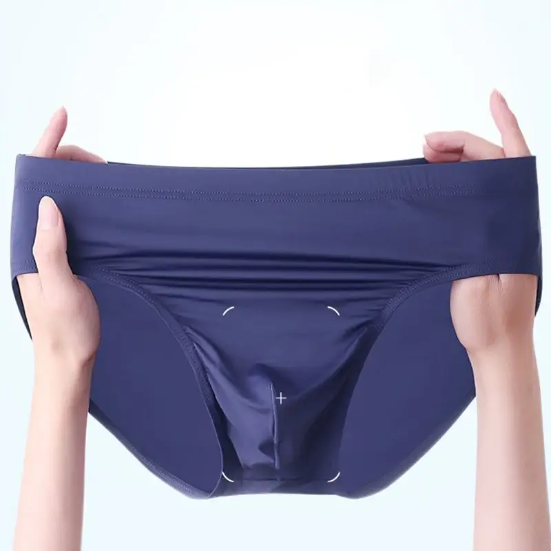 2pcs Big Pouch Nylon Men Underwear Briefs Ice Silk Male Seamless Underpants Low-Waist Thin Panties Plus Size