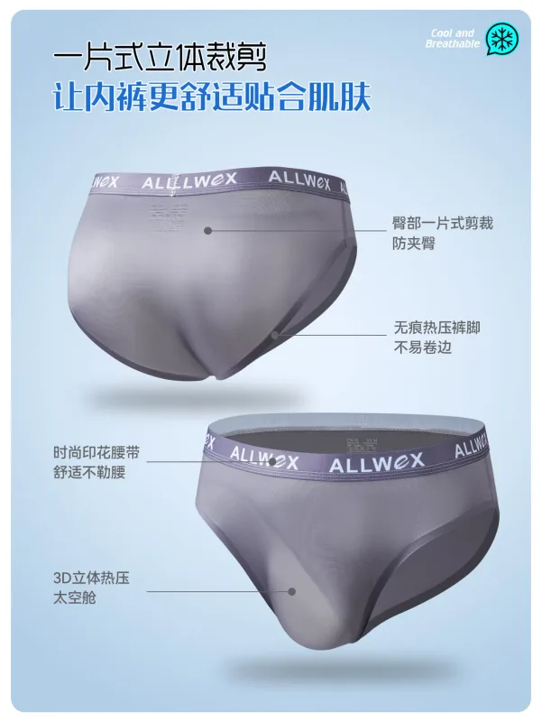 Ice Silk Seamless Briefs for Men Sexy Smooth Underwear 3D Pouch Underpants Comfortable Lingerie Panties Male Low Rise Knickers — image 13