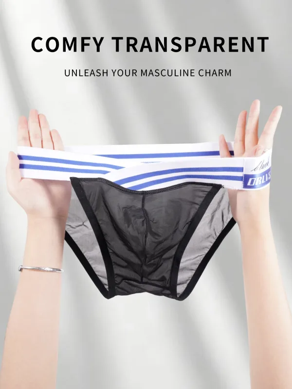 Men's Ice Silk Ultra-Thin Barely-There Mesh Sheer Briefs, Striped V-Shape Elastic Waistband Summer Daily Commute Underwear — image 4
