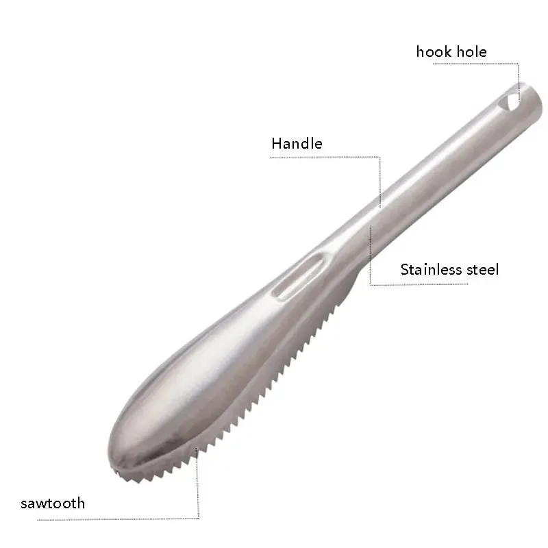 Fish Scaler Remover Cleaner with Sawtooth Αφαιρέστε εύκολα τα λέπια ψαριού για την κουζίνα του σπιτιού Καθαρισμός ψαριών Εργαλεία θαλασσινών Καθαρισμός αλάτων — image 2