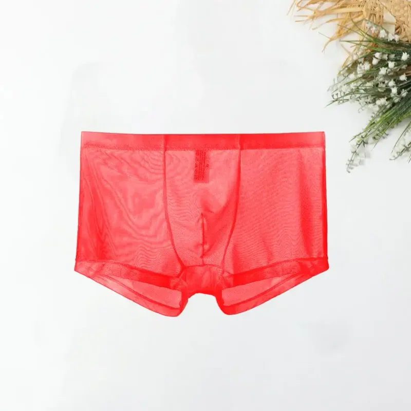 Bóxers transparentes para hombre, calzoncillos transparentes de malla Sexy, cintura baja, seda helada, bragas refrescantes finas, ropa interior para hombre