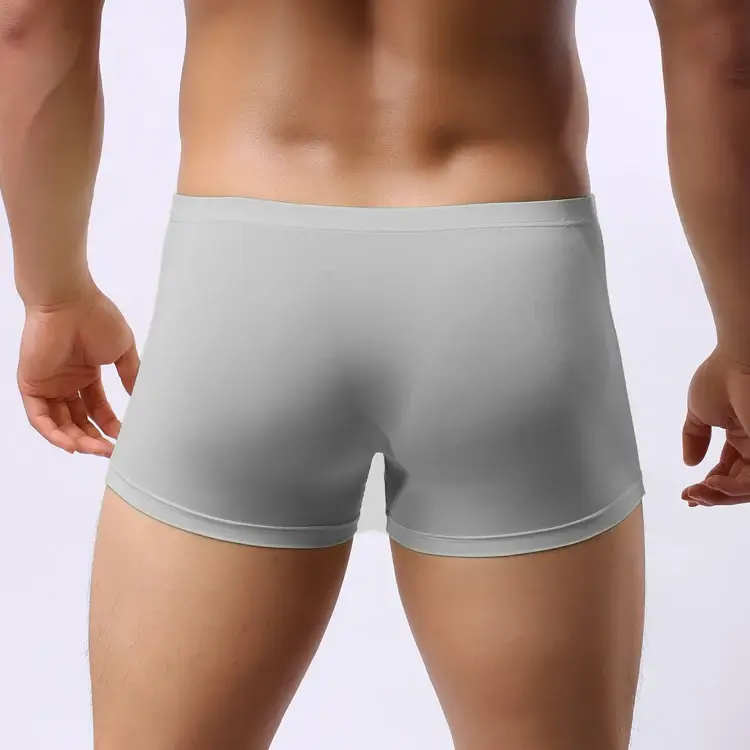 Sexy Elephant Nose Boxers Men's Transparent Bulge Penis Pouch Gay Underwear Men Ultra-thin Ice Silk Panties Fetish Boxershorts — image 9