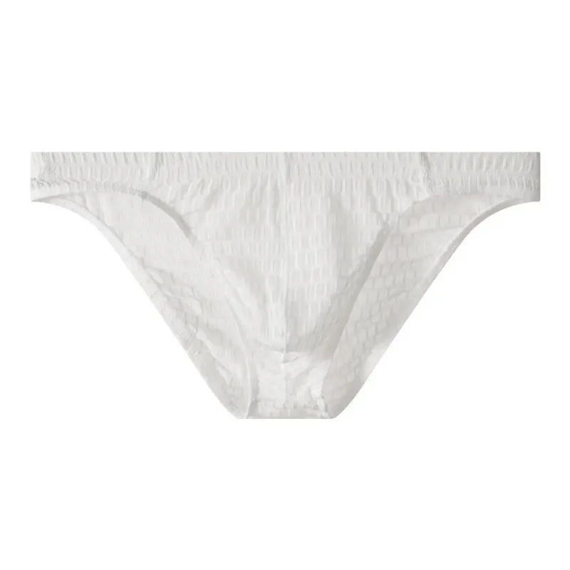 Breathable Low Waist Men's Briefs Transparent Ultra-thin Ice Silk Underwear Lingerie Mesh Panties Male Comfort Fit — image 18