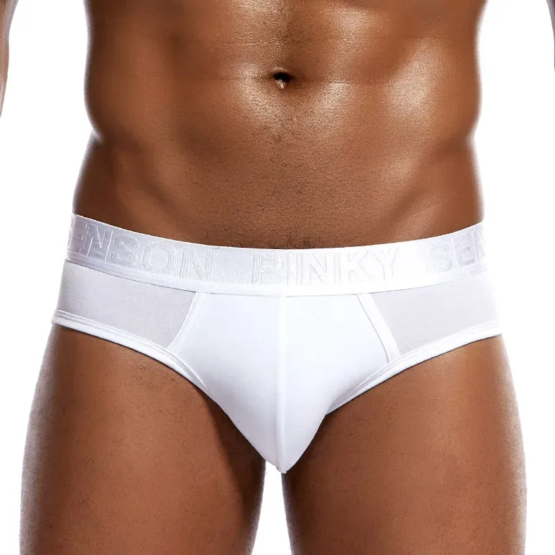 Pinky Seaso marque meilleure vente Sexy Triangle pantalon Modal mince couleur unie sous-vêtements hommes Modal slips ventiler grande taille hommes — image 3